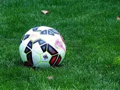 我校董斌教,授团队获,光明日报,奇异果体育平台,奇异果体育官方网站,奇异果体育登录入口,奇异果体育app下载