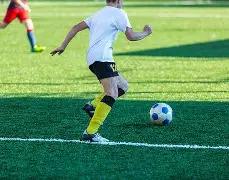 中国体操队,世青赛豪夺,金牌榜领跑,奇异果体育平台,奇异果体育官方网站,奇异果体育登录入口,奇异果体育app下载