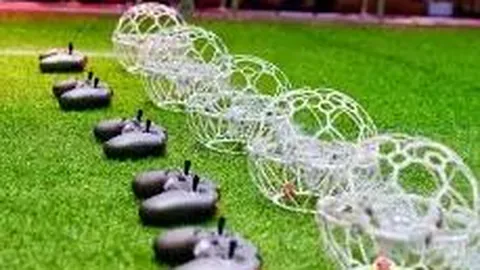 林更新绯闻女友最新动态曝光，疑似公开恋情，坦言即将分享甜蜜时刻