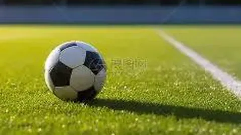 奇异果体育 资讯 130102 o65