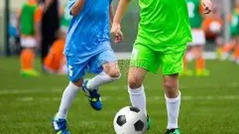 奇异果体育 产品 132404 l92