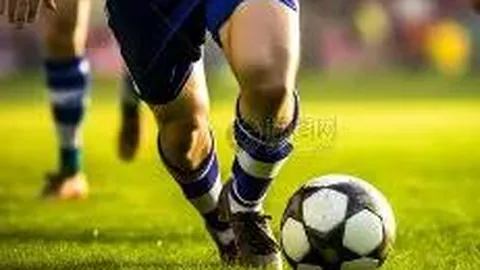 奇异果体育 资讯 131206 lwl