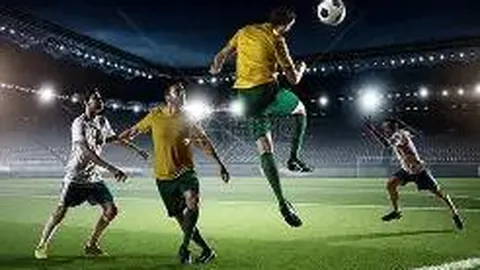 奇异果体育 产品 130135 cel