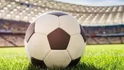 奇异果体育 产品 131241 e2i