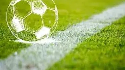 奇异果体育 资讯 132212 a9k