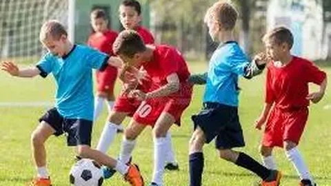 奇异果体育 产品 100349 2z2