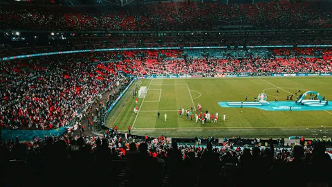 奇异果体育 资讯 103337 mt3